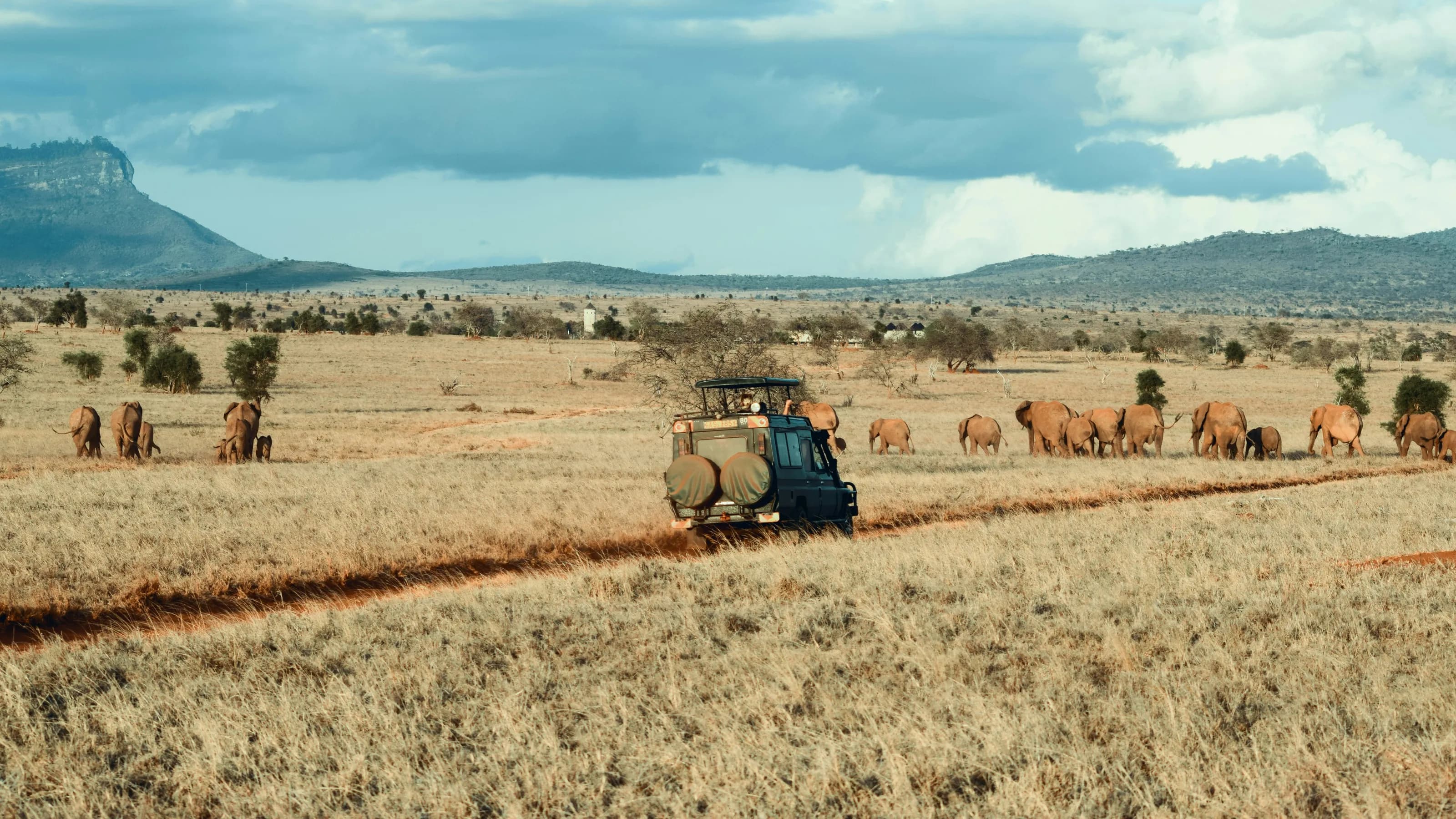 Guests in an open safari vehicle watching a line of elephants cross the plain.