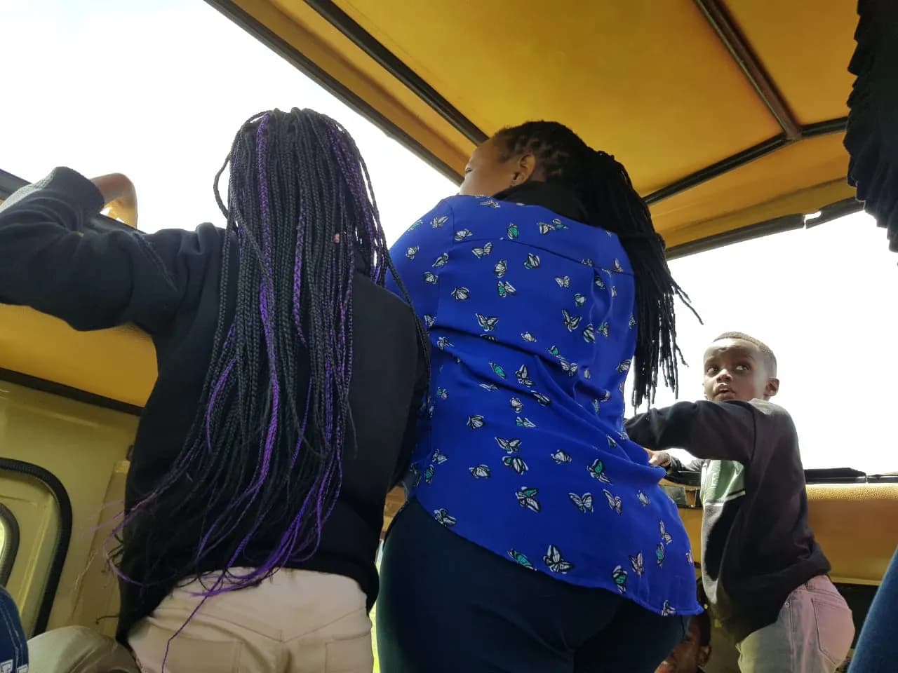 Maguca Tanzania safari journey — Serengeti, Ngorongoro and the northern circuit