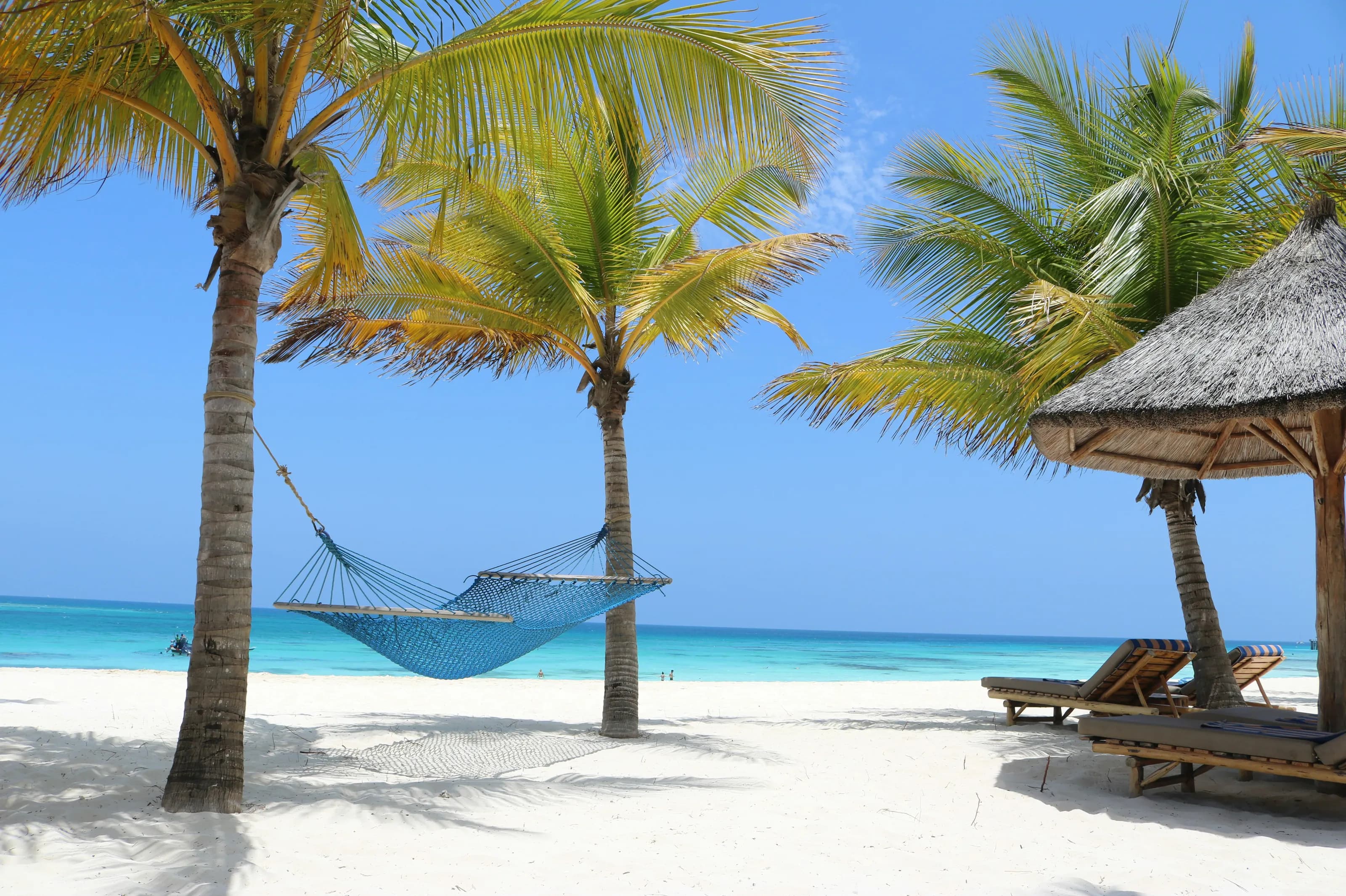 A hammock slung between palms above white sand and turquoise water.