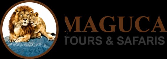 Maguca Tours & Safaris